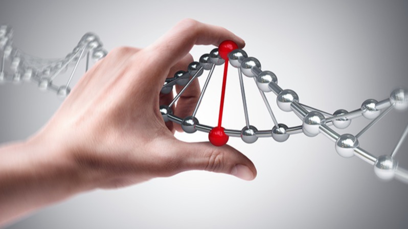 sars-Cov-2 virus, DNA fragments, DNA , microorganisms , Researchers