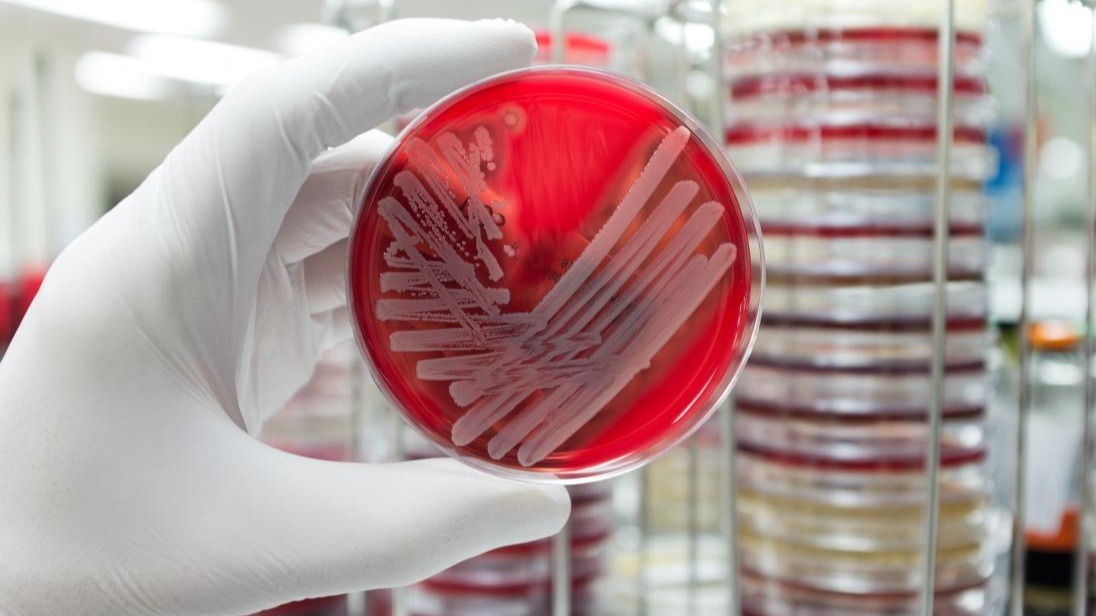 Antibiotic Resistance,  unique antibiotics, bacterial cellular, pill, microbiology