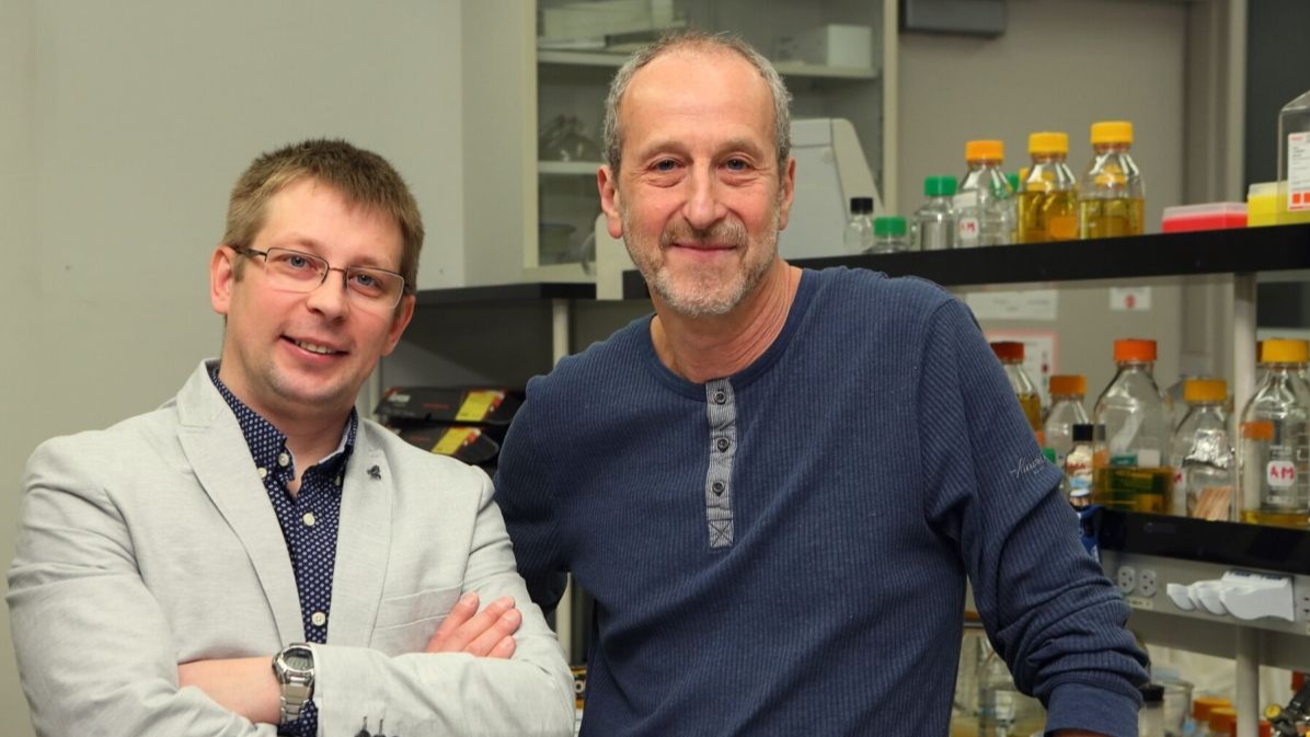 antibiotic resistance, bacteria, ribosome , microorganism, Pathogenic