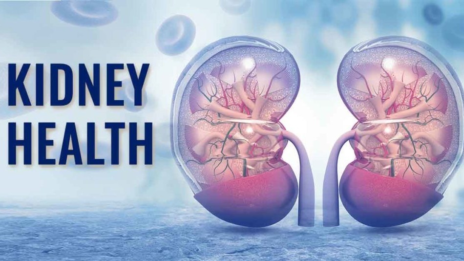 kidney sickness, COVID, People,  blood pressure, illness