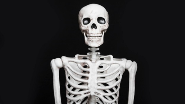 clinical, synthetic ceramic , Europe,  Technique, Synthetic Bone