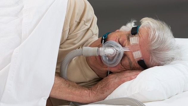 helicon , hypothesized , weight pigs, anatomical restrictions, pig