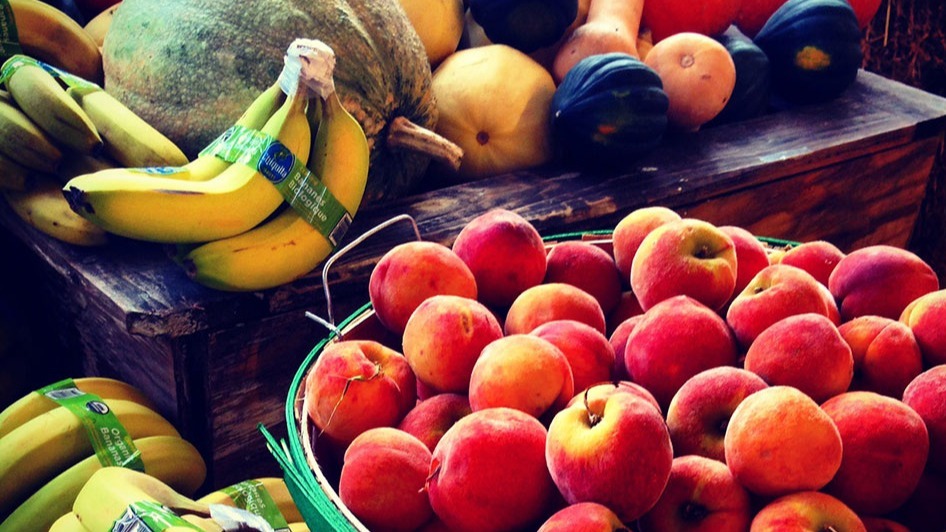 meals , clinical , human, gerontology, metabolism