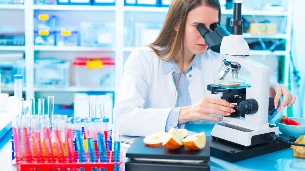 taurine , infection, bacteria , deltaproteobacteria, microorganisms