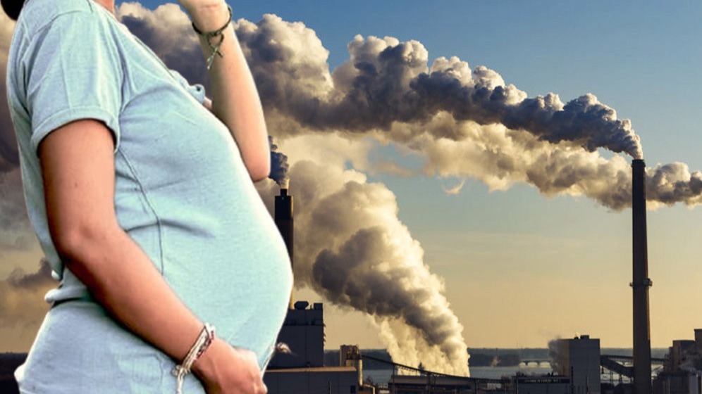 South Asia, Pregnancy Loss, pollution,  Air Pollutants, India