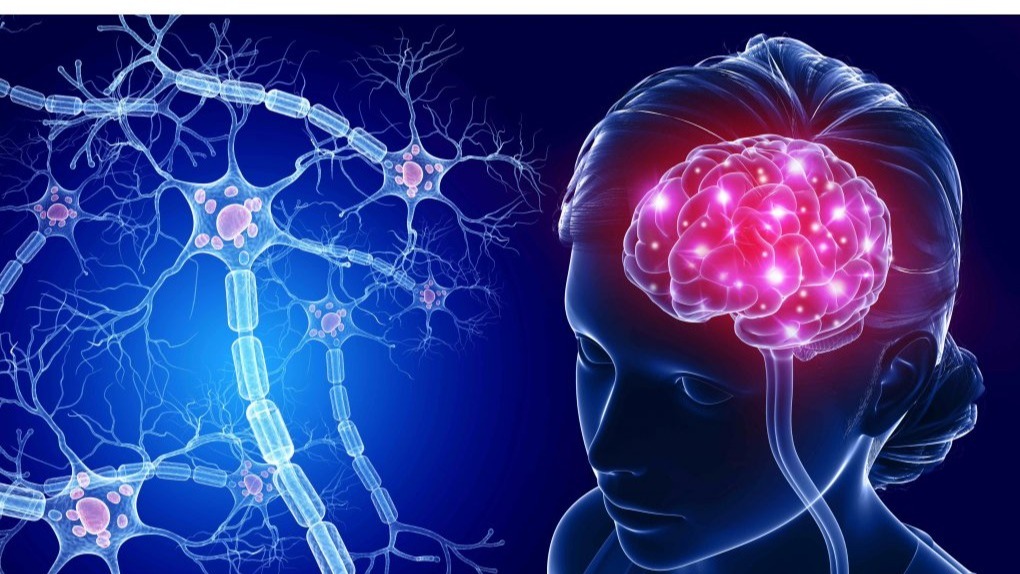 Astrocytes, tumors, cancer , promote infection,  neurological sicknesses, Brain Cells