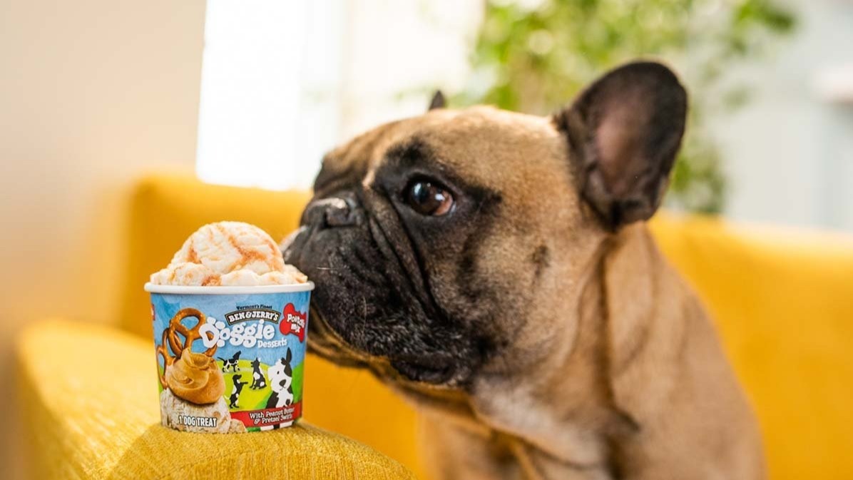 ben & Jerrys, ice cream, puppies, organization ,  freezer burn