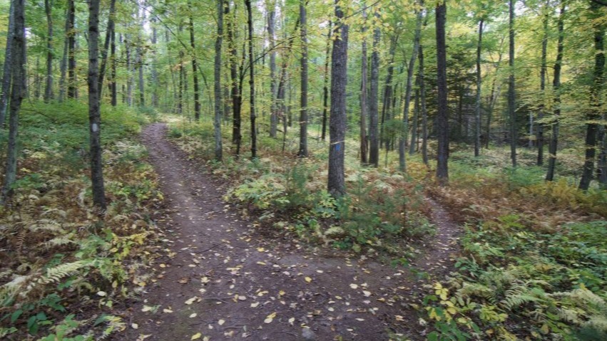 Alexandra pollard, issues, backdrop , British soldier, Muhammad Ali