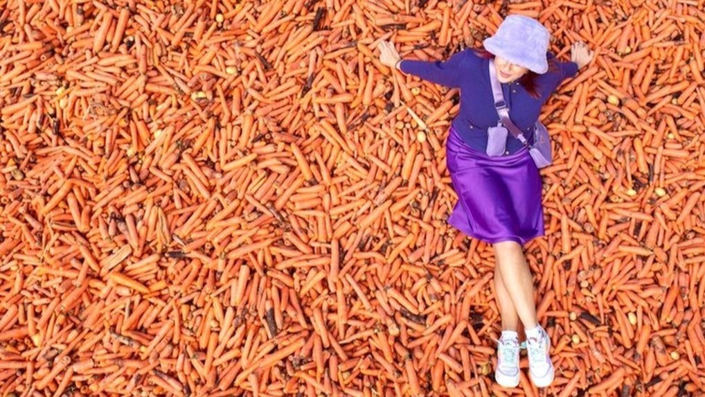 carrots,  meal banks, carrot cake , artwork, Rafael Perez Evans