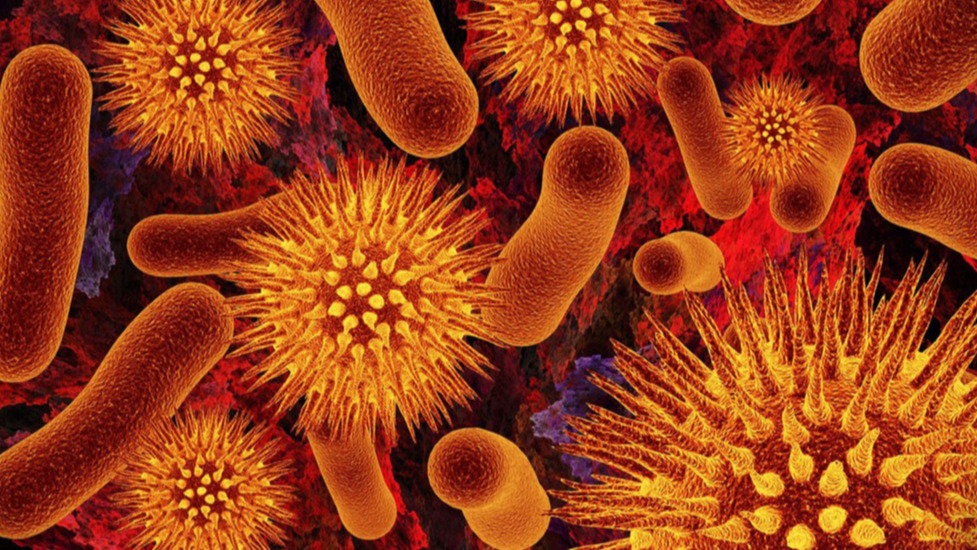 Carnegie Mellon , biologist , microorganism , bacterial , antibiotics