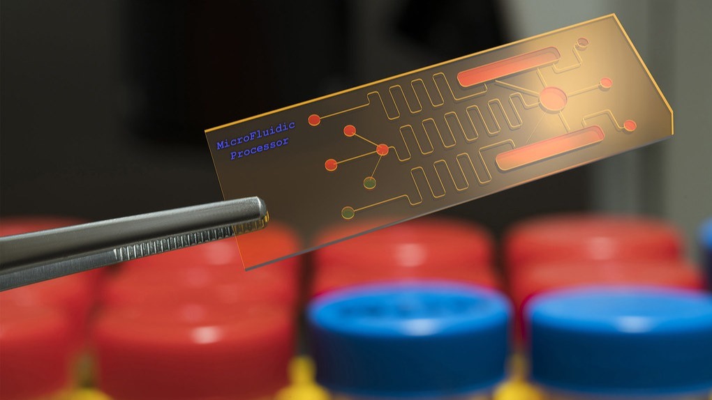 Biosensors ,  Antifouling Safety, biofilms , techniques , environments