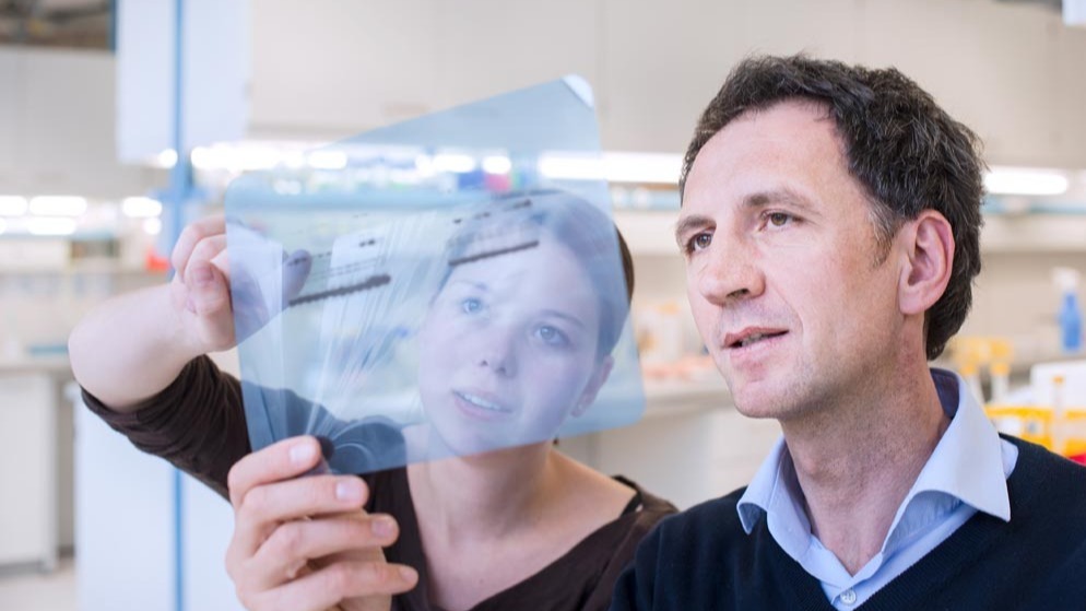 immune system, pathobiochemistry , lymphatic leukemia ,  illnesses,  bacteria,  viruses,  mycosis