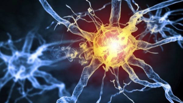 indazole chloride , axons,  stimulate axon remyelination, immunohistochemistry,  spinal wire, corpus callosum