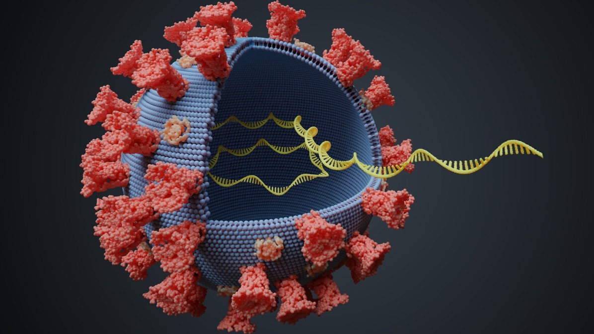 diagnosed, covid-19,  sars-cov-2 , virus, human cell