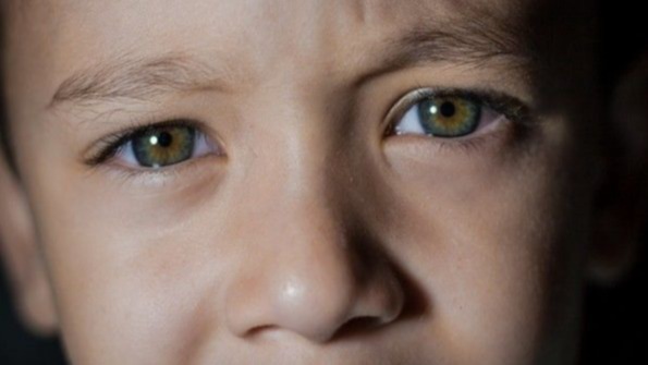 cerebral visual impairment , academic psychology tests,  ophthalmology ,  infant neurology, issues , countrywide