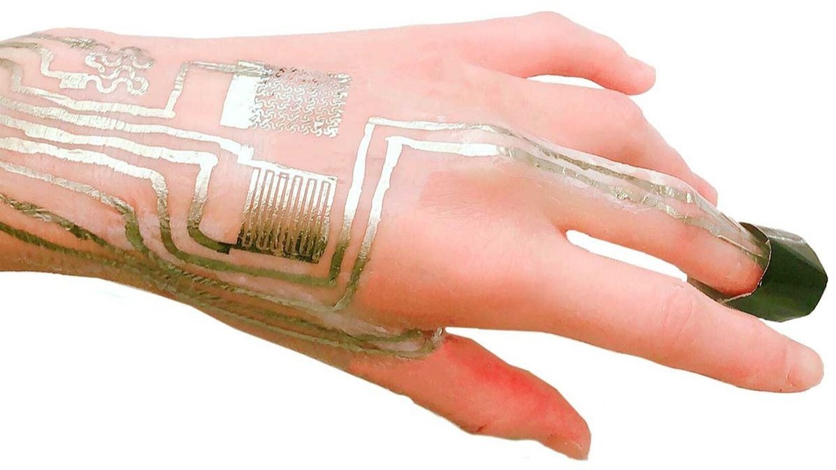 tissue-forming cells, drug, polyacrylamide, orthopedics, mechanical