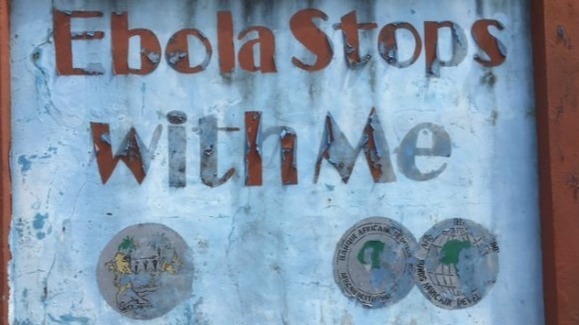 immune , Ebola , plasma samples,  infectious virus, Antibody