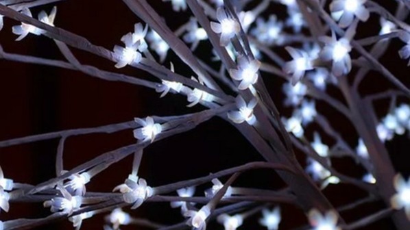 Hyperlinks, thyroid cancer, circadian rhythms, sociodemographic, epidemiological