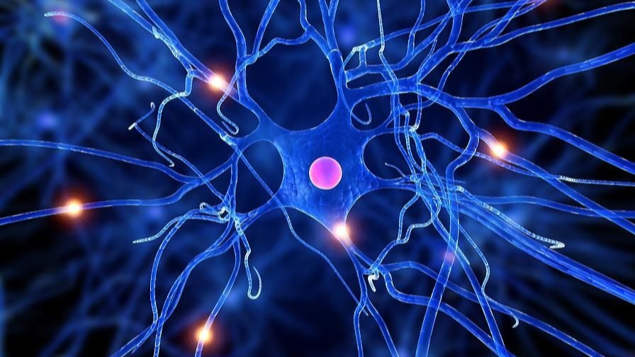 arginine-rich polypeptide ,  drug transport, cellular biology, biochemical , proteins