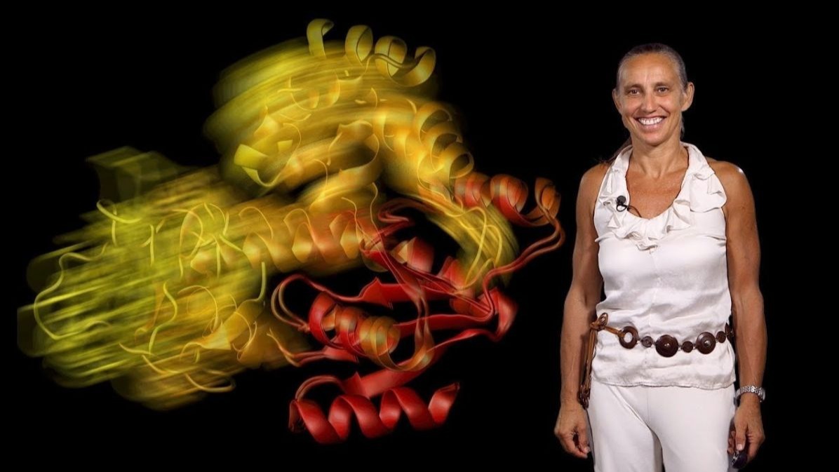 biology, discoveries, cancer, drug efficacy,  cellular destiny