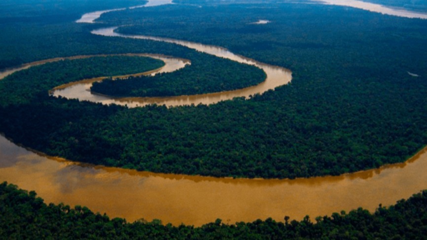 Nineteen , considering , As a part of this procedure, considering the fact , approximately 4, 345 miles, the southern coast, Marajo