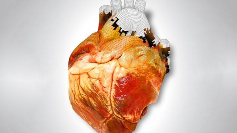 nanocellulose, hydrogels, 3D object, Organs, bioinks