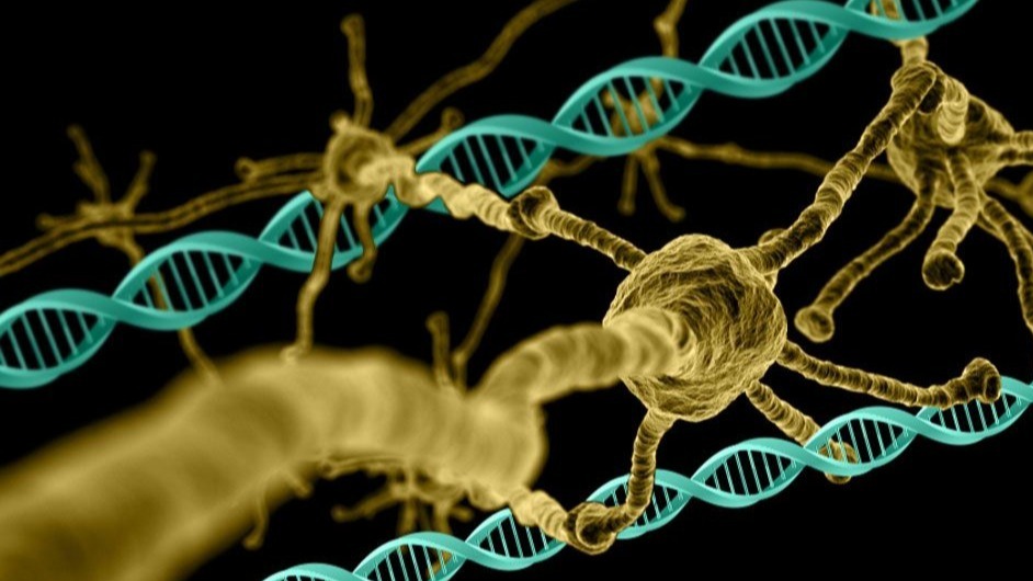 neurological,  motoric,  cognitive,  psychiatric symptoms., molecules , sicknesses