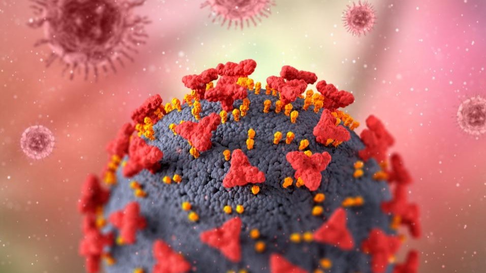 covid-19, epidemiological ,  ecological , viruses, China, arboviruses ,  SARS