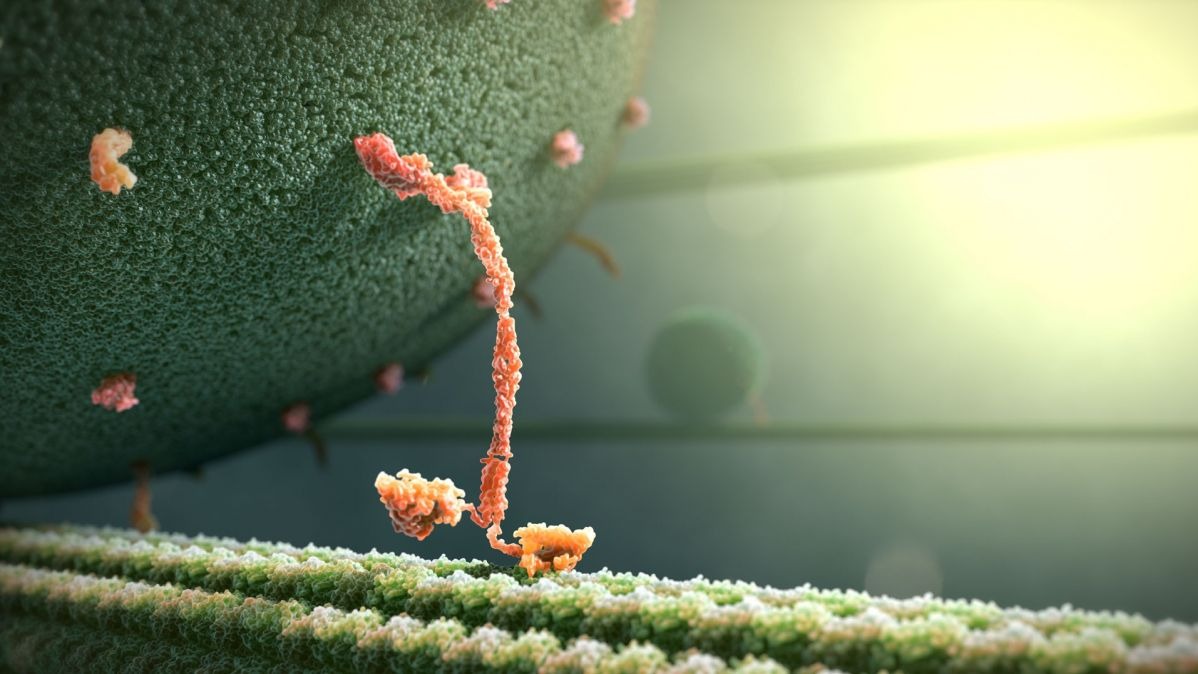 3D printing,  microscopic scale, engineering,  chemistry,  medication,  biomedical engineering