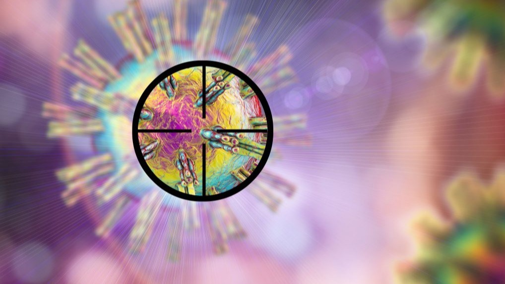 virus ,  sars-cov-2, host cells, corona,  antibodies