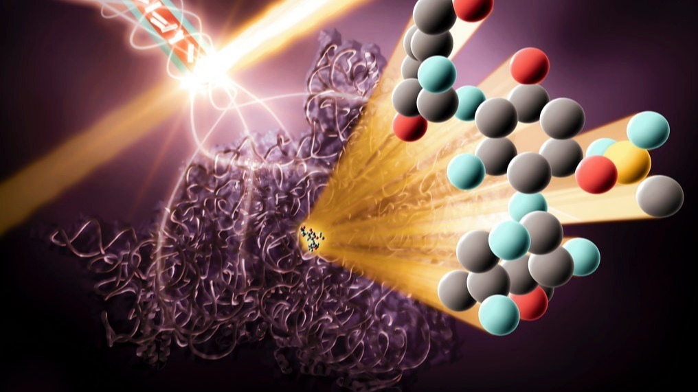 RNAs , tRNAs, tRNA abundance, tRNA molecule , biochemistry, illnesses