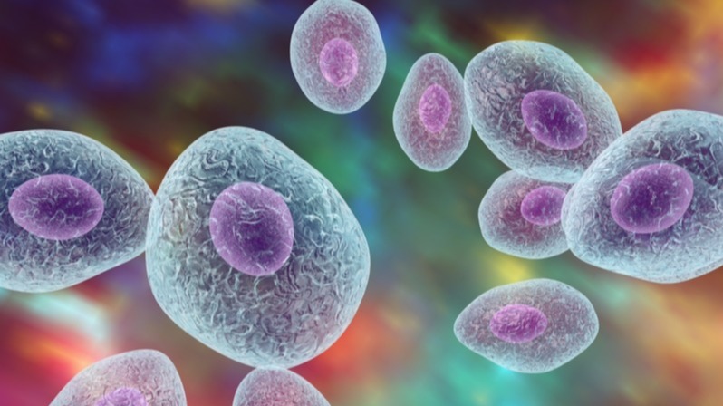 cystic fibrosis,  antibiotics ', drug , microorganism, cystic fibrosis lungs
