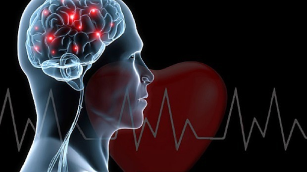 Heart troubles, Alzheimer's disorder,  Embo molecular medicine,  Burdened cells, Tight windings