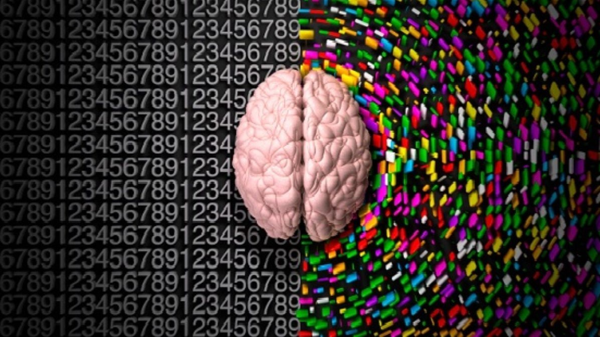 brain's manner ,  foggy situations, human brain, structure , Eyes