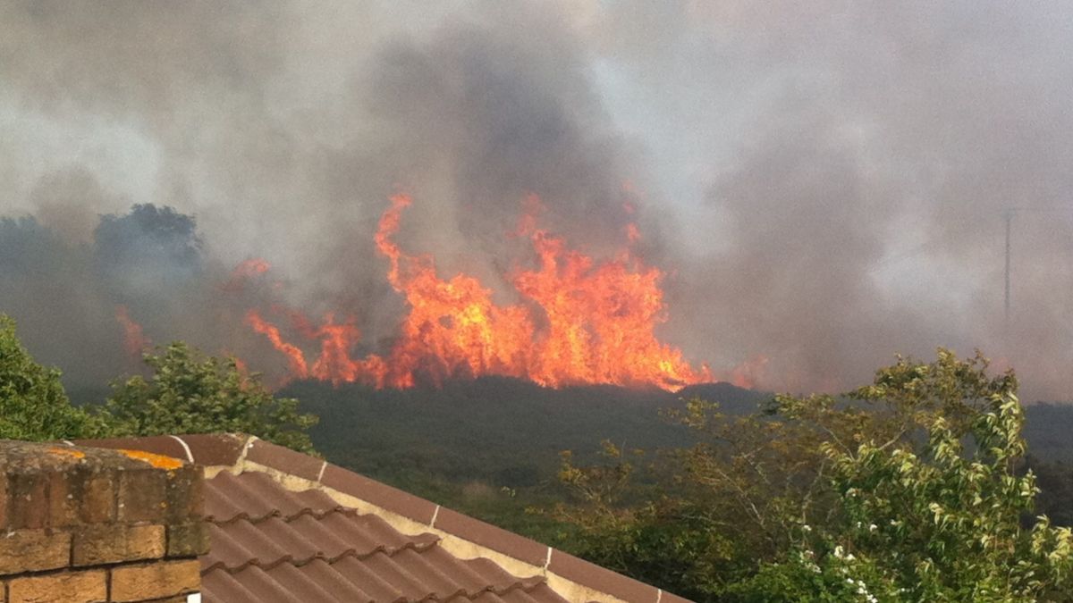 Magical, Fire,  peat fires, earth, natural