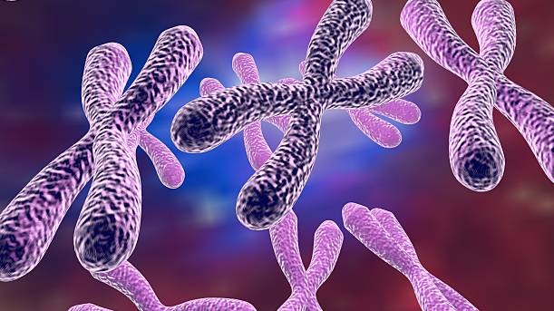 cancer,  neurodegenerative sicknesses,  hiv,  metabolic, human cells, Disease