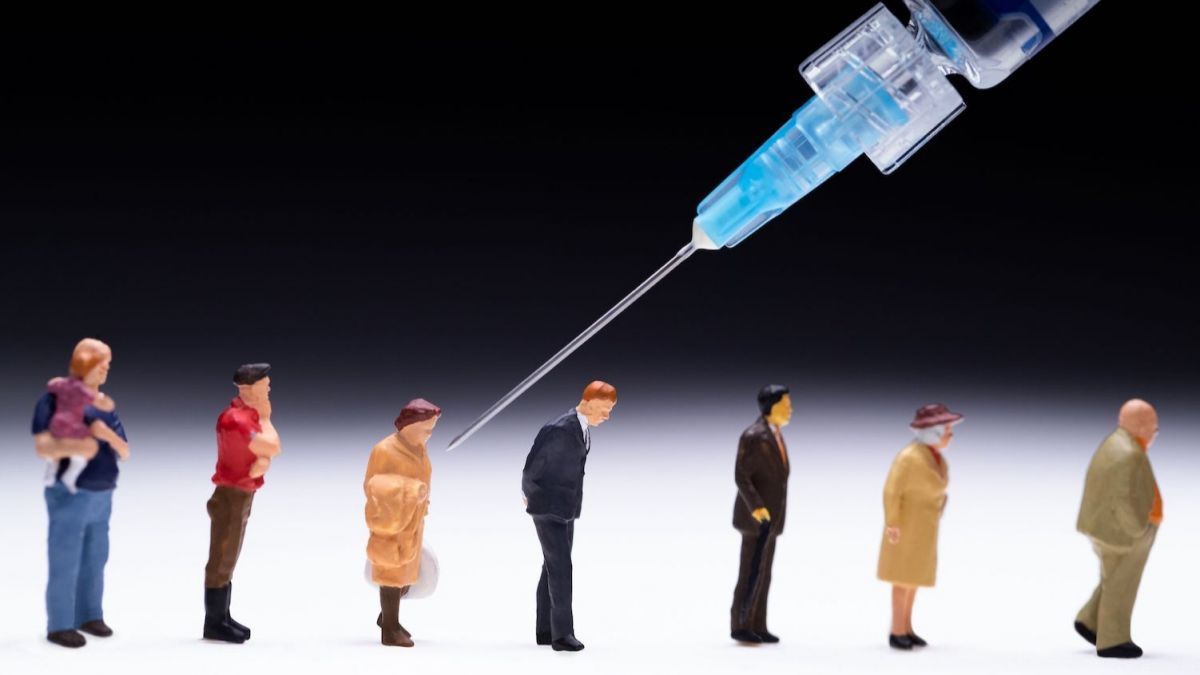 swine flu, vaccine, h1n1 vaccine, physicians, pandemic