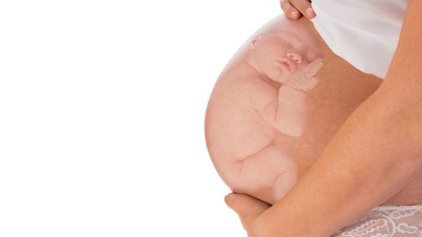 immune cells,  immune system , Pressure , microbes , Infection