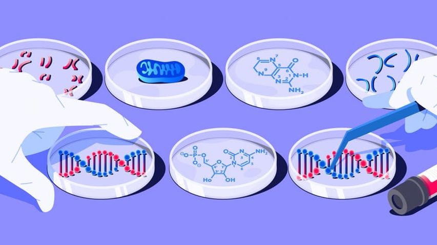 health, diseases , sperm proteins, molecules , non-dna molecules