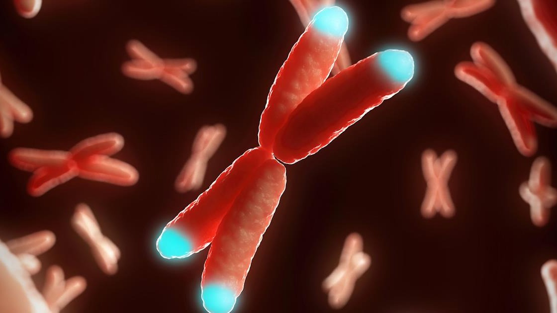 cancers center, genomic , nucleic acid, ADAR1 , Health