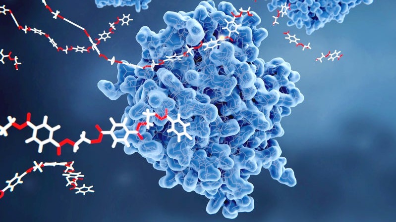 proteins , Alzheimer's,  Parkinson's,  amyotrophic,  neurodegenerative , sicknesses