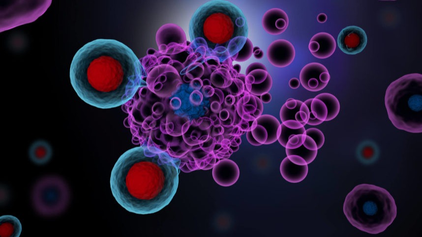 colorectal , gynecological,  cancers, drug , protein