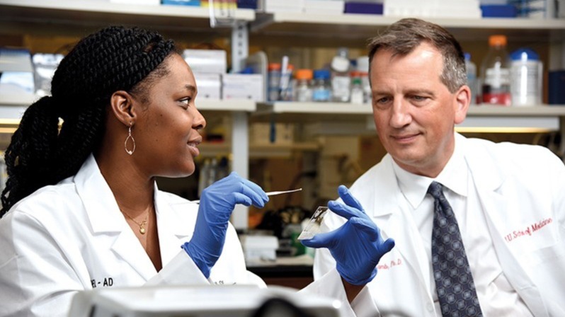 Alzheimer's disorder, sickness, symptoms , transgenic , mice