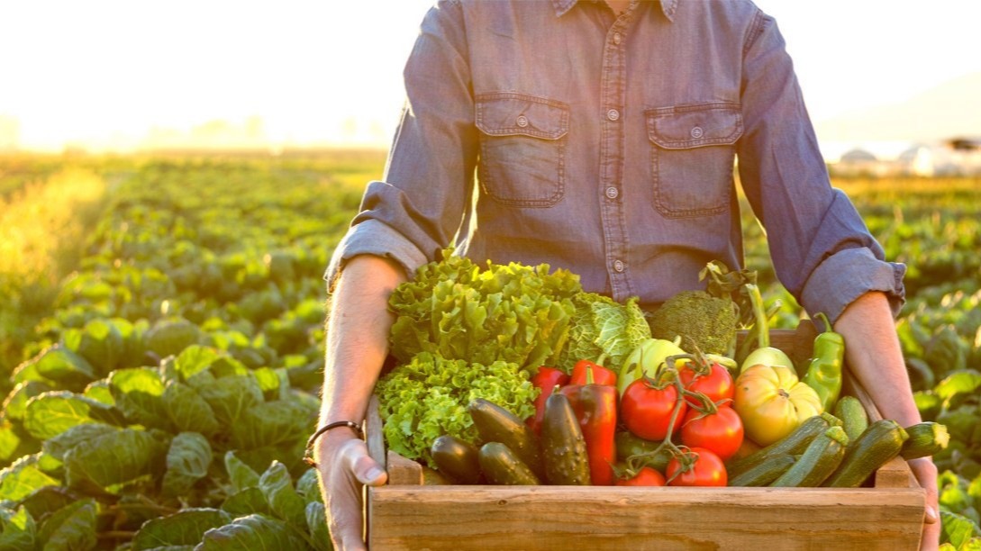 health,  muscle features, energy , vegetables , diabetes