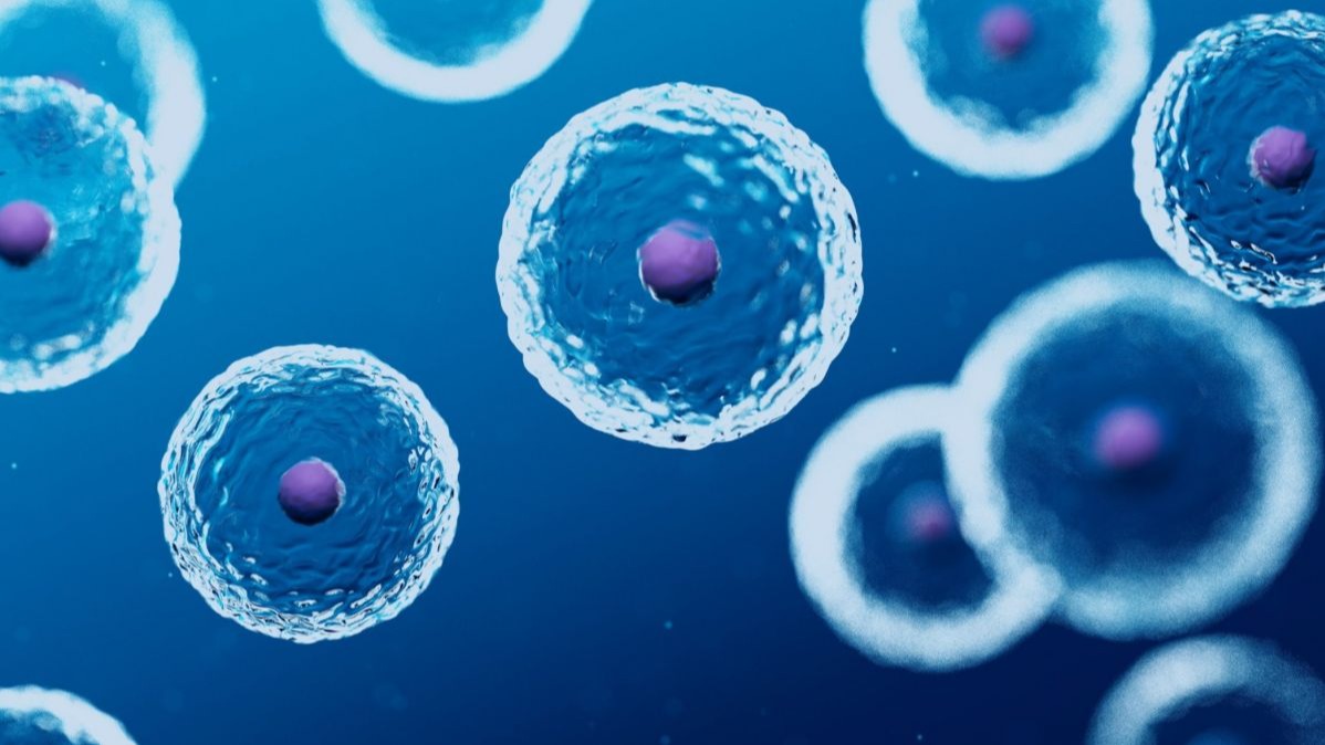 biology, diffusion, critical methods, Molecules , Carpets