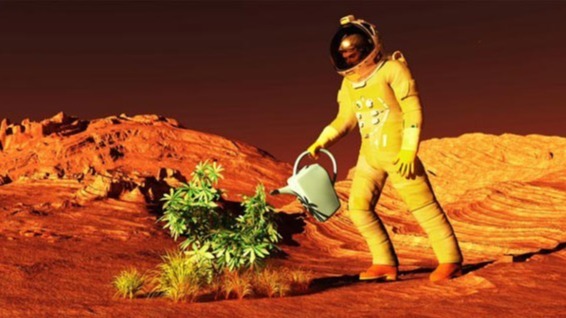 NASA (National Aeronautics and Space Administration), microbes, ISS(International Space Station), Methylobacteriaceae, Methylorubrum rhodesianum, Dr Ajmal Khan, Methylobacterium ajmalii