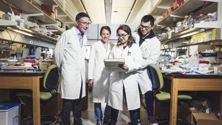 kidney,  disease, cells , &beta;-catenin , molecule