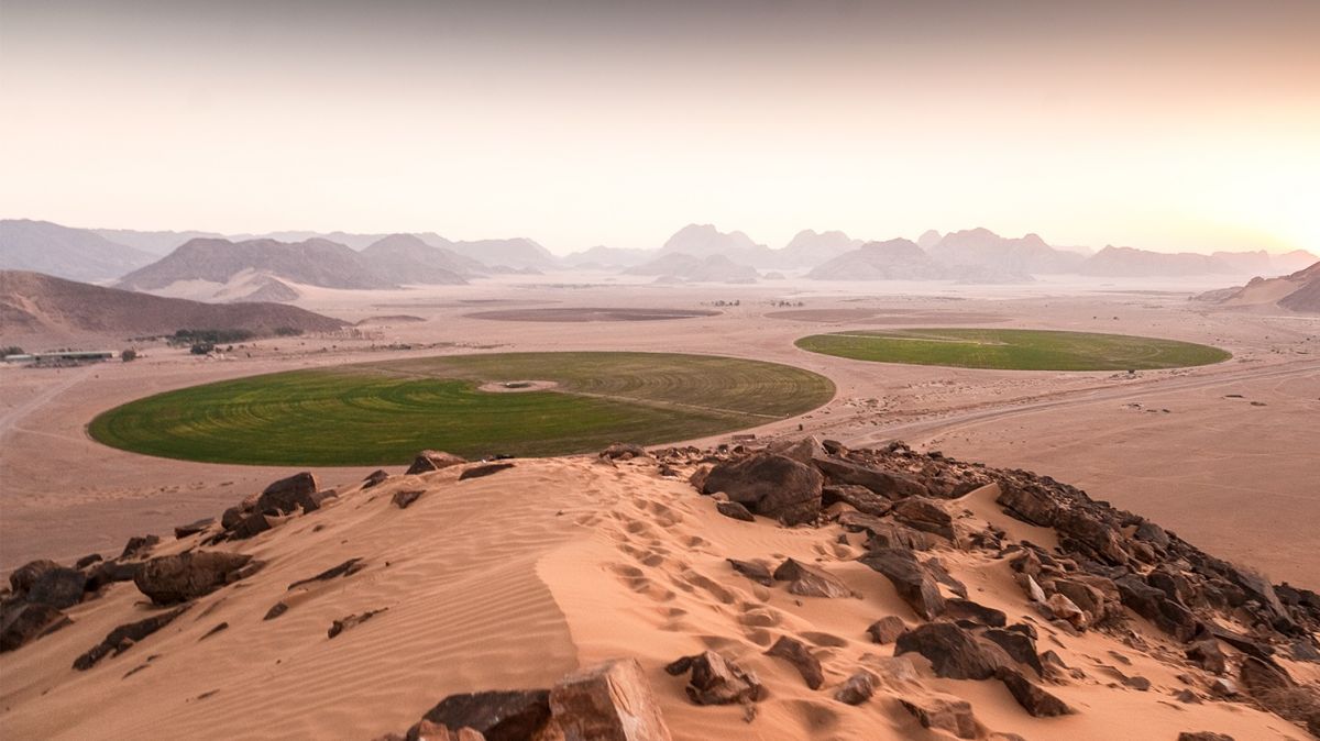 populace , Dwindling,  water,  elements, neighborhoods