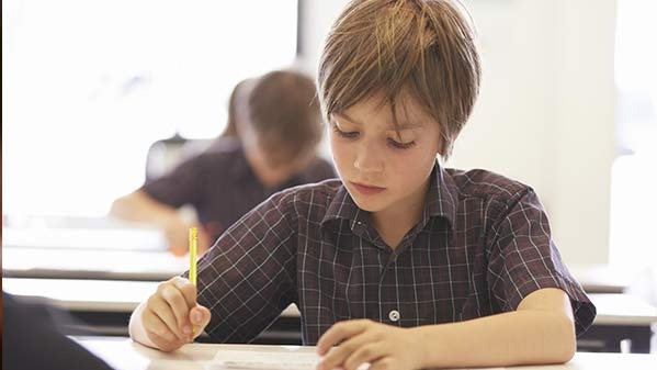 political , ideology,  content shipping,  understanding , memorization