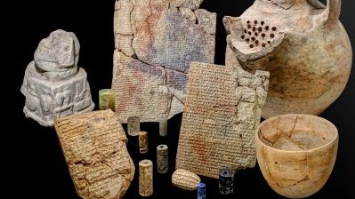 archaeology, pig bones, Fishbones, species , home fowl